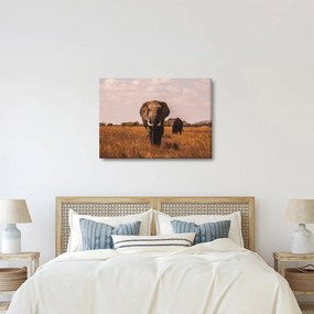 Kép - Az elefánt érkezése (70x50 cm)