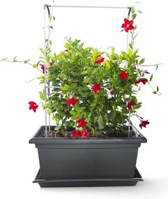 Gardenico Green Wall Magnus függőleges támasz, 80 cm