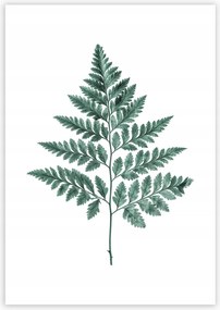 Dekoria Fern Emerald Green poszter