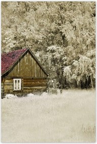 Poszterek 60x90 Rönkház Bale