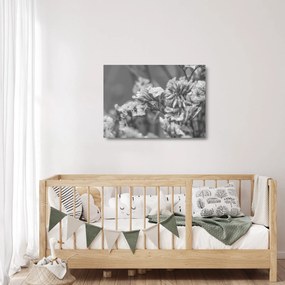 Üveg kép - Szárított virágok (70x50 cm)