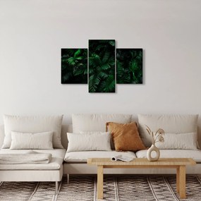 Kép - trópusi páfrány (90x60 cm)