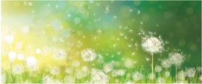 Kép - Virágozatlan pitypang (120x50 cm)