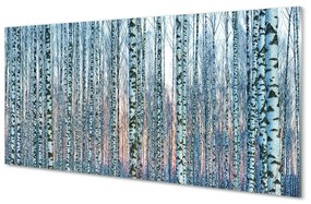 Üvegképek Nyírfa erdő naplemente 120x60cm