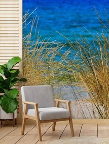 Gario Fotótapéta Magas füvek a tengerparton Anyag: Vlies, Méret: 150 x 210 cm
