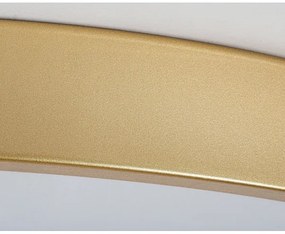 Rabalux 71038 -LED dimmelhető mennyezeti lámpa TESIA LED/60W/230V 3000-6000K+Távirányító