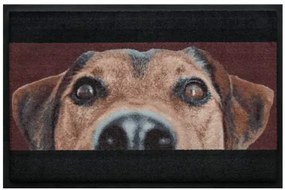 Állatos prémium lábtörlő - barna kutya (Válassz méretet: 75*50 cm)