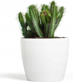 Virágtartó fedő fényes fehér 25cm x 22cm