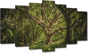 Festmények 140x80 Fa a parkban