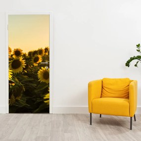 Fotótapéta ajtóra - Napraforgó mező (95x205cm)