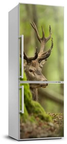 Dekor matrica hűtőre Szarvas FridgeStick-70x190-f-88923156