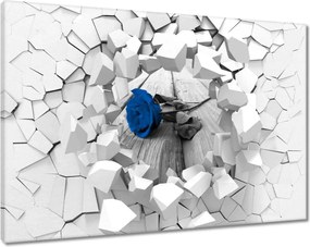 Vászonkép 120x80 Kék rózsa a hídon