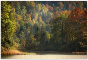 Poszterek 155x105 Erdei tĂĄj KilĂĄtĂĄs