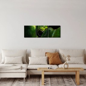 Kép - Zöld kígyó (órával) (90x30 cm)