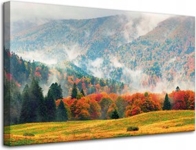 Vászonkép Hegy Erdők Rétek Felhők Természet 80x50 cm Ajándéknak is tökéletes