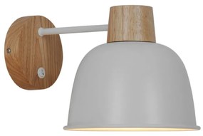 Zuma Line ORLO P21031M-1W Fali lámpa 1x40W/E27 IP20