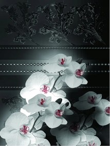 Orchidea fotótapéta modern design nappaliba és hálószobába 206x275 +ragasztó