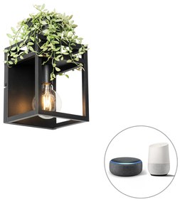 Okos fali lámpa fekete polccal, Wi-Fi-vel, G95 izzóval - Cage Rack