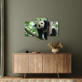 Kép - Panda a fán (90x60 cm)