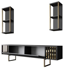 TV szekrény Gold Line - Anthracite, Black