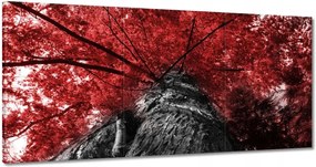 Vászonkép 180x90 mamutfenyő Magas fa