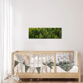Kép - sűrű erdő (órával) (90x30 cm)