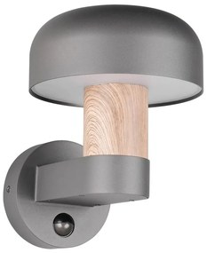 Fali kültéri lámpa (magasság 24,5 cm) Fraser – Trio