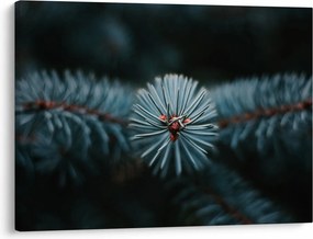 Egy tűlevelű fa gallyának képe (70x50 cm)