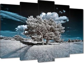 Vászonkép 70x50 Fenséges fa