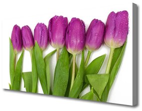 Vászonkép falra Tulipán virágok Plant 125x50 cm