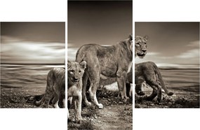 Fekete fehér tigris képe (90x60 cm)