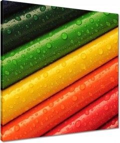 Vászonkép 50x50 Színes ceruzák Színek