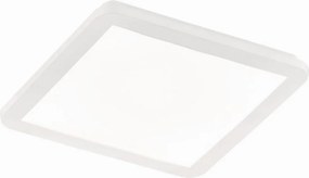 Trio CAMILLUS R62931801 LED panel 1x18w/led 3000k 1650lm ip44