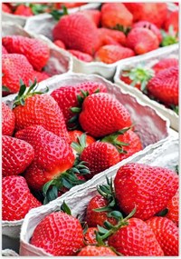 Poszterek 70x100 Konyhai képek Forradalmak