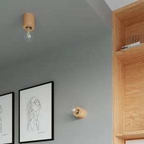 Sollux SL.0672 - Mennyezeti lámpa SALGADO 1xE27/60W/230V fa