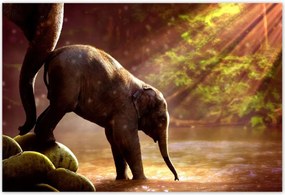 Poszterek 155x105 Anya csak egy van