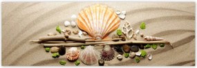 Poszterek 200x66 Kagylók Tengeri homok