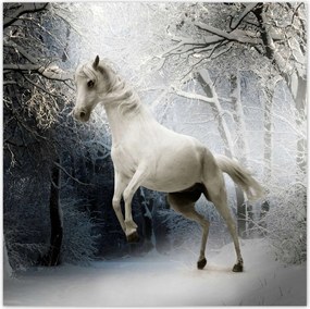Poszterek 140x140 Fehér paripa