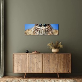A pók részletének képe (órával) (90x30 cm)