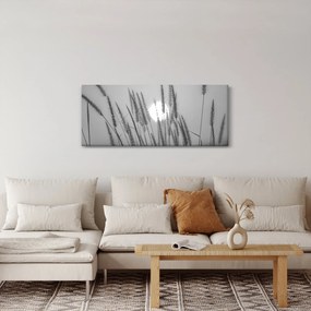 Kép - Mező naplementében (120x50 cm)