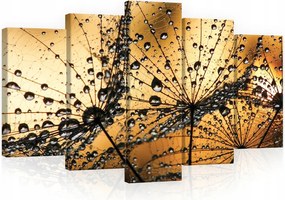 Vászonkép 100x60 Pitypang harmat vízcseppek makro természet fény arany