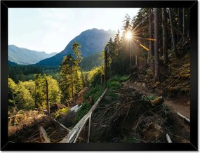 Poszterek keretben 40x30 Hegyek Napfény Erdő Ösvény