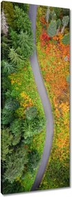 Vászonkép 40x100 Út Erdő Ősz