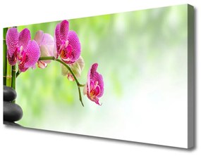 Vászonkép Nature bambusz virág 100x50 cm