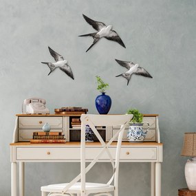 Flying Swallow - 2