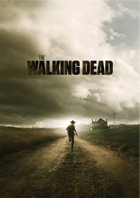 Poszter The Walking Dead TV-sorozat Andrew Lincoln