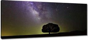Vászonkép 100x40 Csillagos éj
