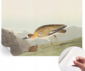 Fotótapéta Fali tapéta Hálószobába és Nappaliba Hegyi madár 208x146 cm