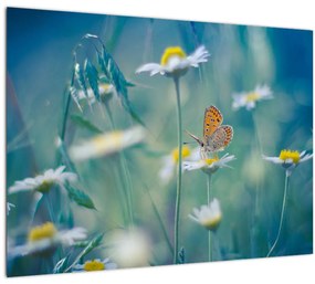 Kép - pillangó a százszorszépen (üvegen) (70x50 cm)