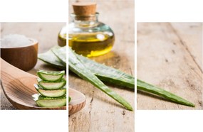 Kép - Aloe vera (90x60 cm)